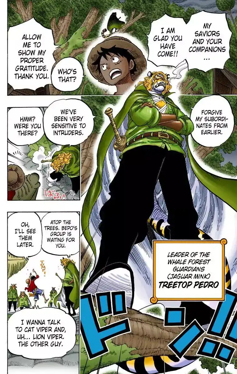 One Piece - Digital Colored Comics Chapter 814 11